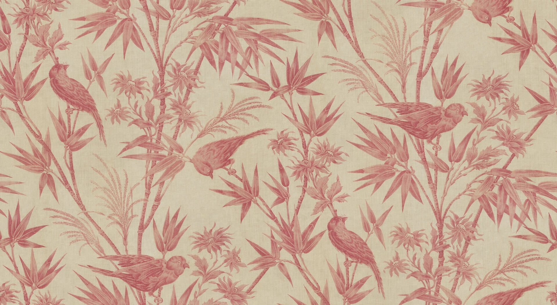 Fototapeta ptaki w bujnym bambusowym gaju Sandberg S10604 Celeste Mural Red Herbarium
