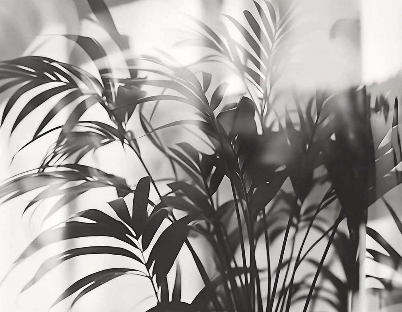 Fototapeta artystyczne palmowe liście London Art 25016-02 Linear Palms Exclusive Wallpaper 2025