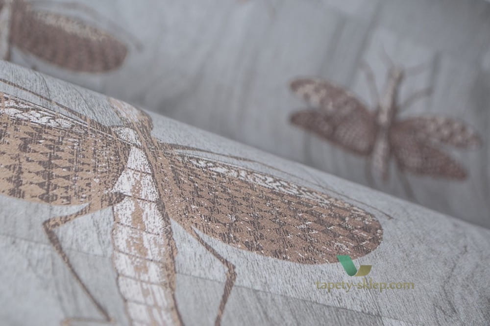 Tapeta Owady Arte 42000 Wings Ligna