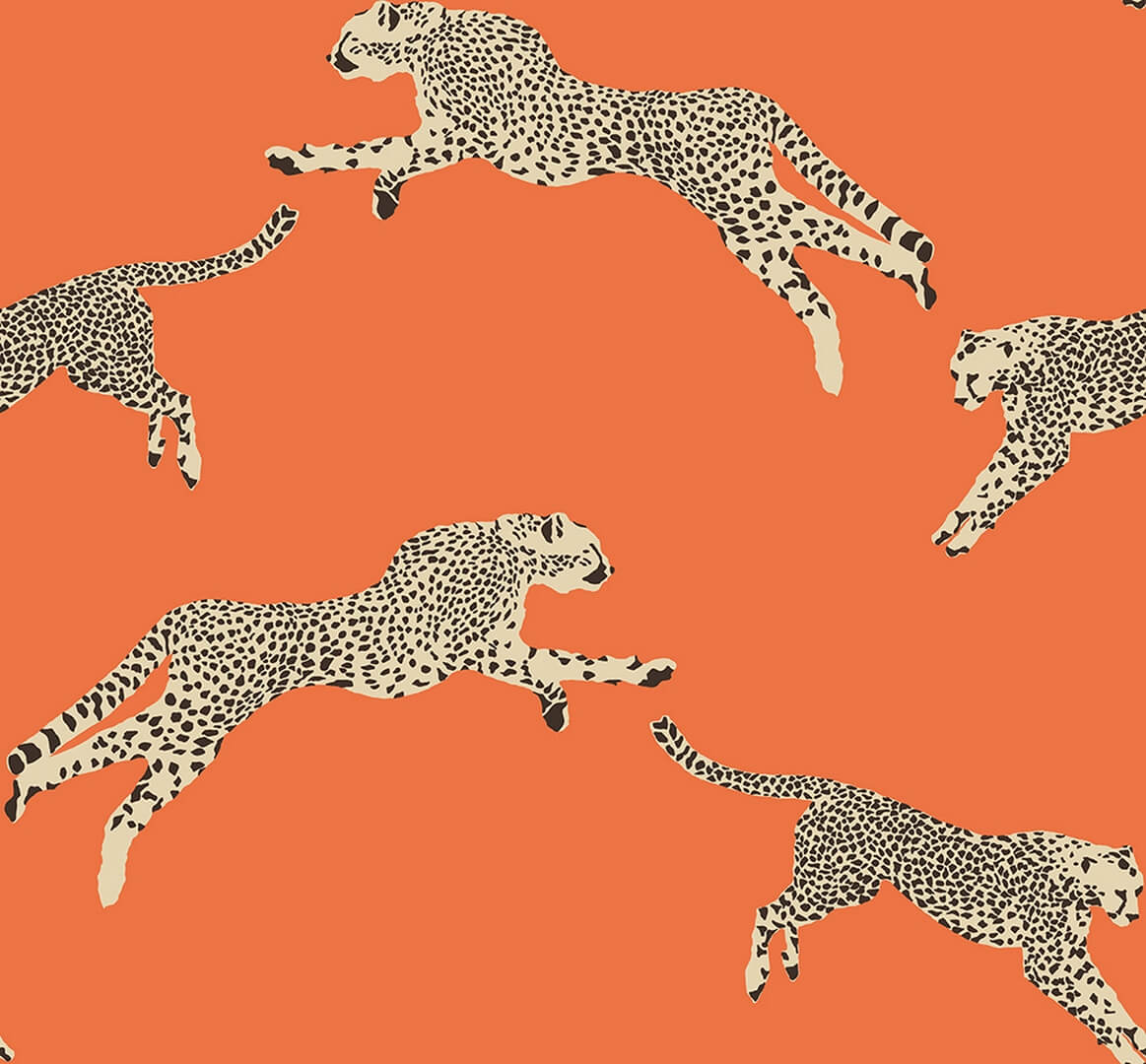 Tapeta gepardy J&V 26017 Leaping Cheetah Scalamandre