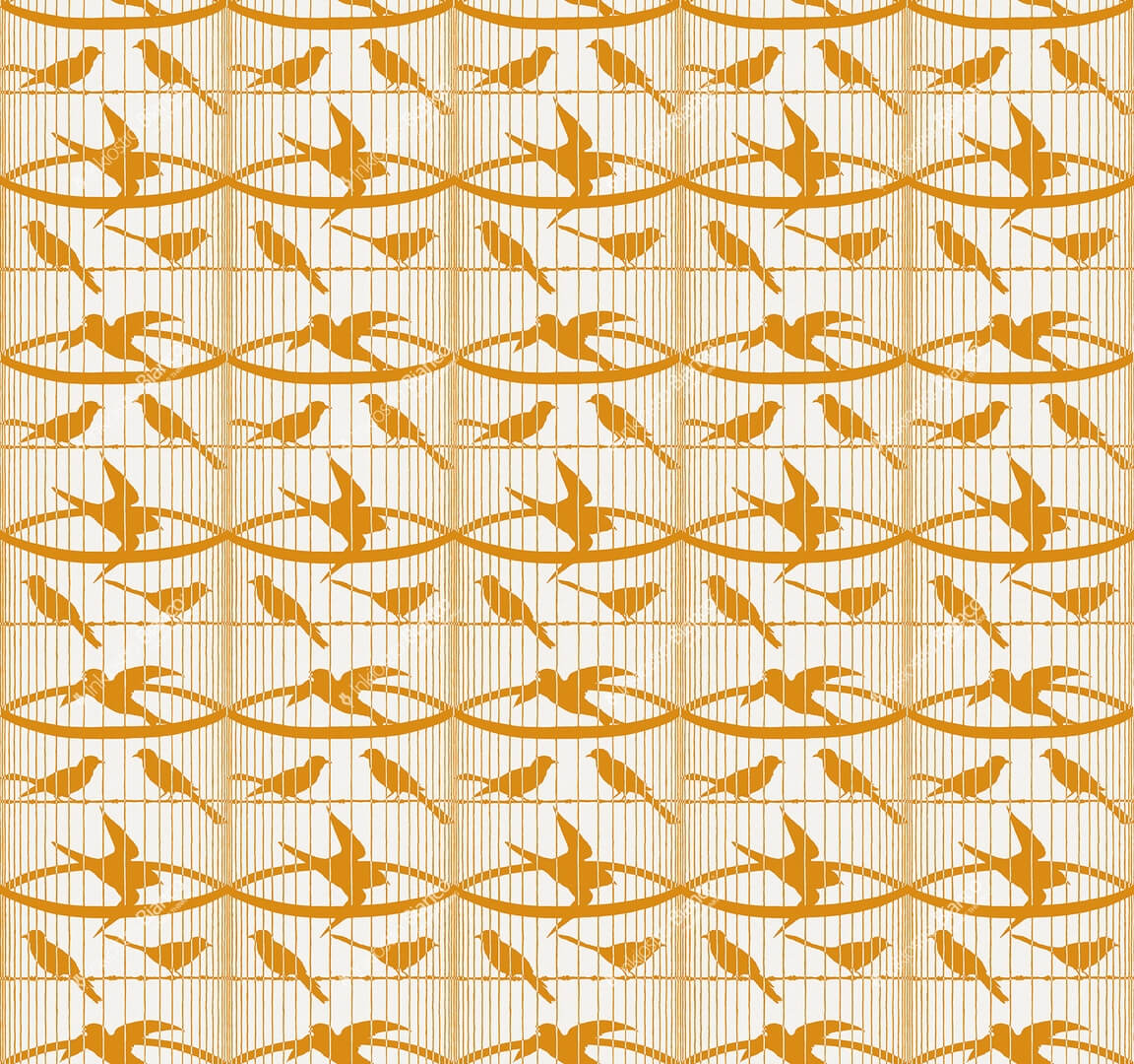 Fototapeta ptaki Inkiostro Bianco GABBIA D'ORO INKBKNN2503 Ken Scott Unconventional