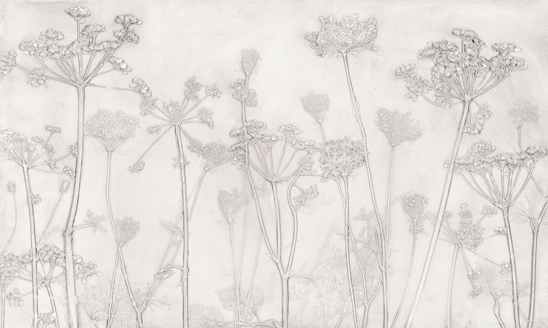 Fototapeta nowoczesna łąka Wall Art Erbario Light