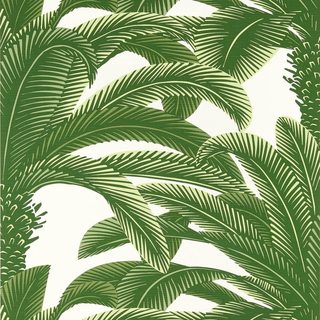 Tapeta liście palmy Thibaut T13907 Queen Palm Palm Grove