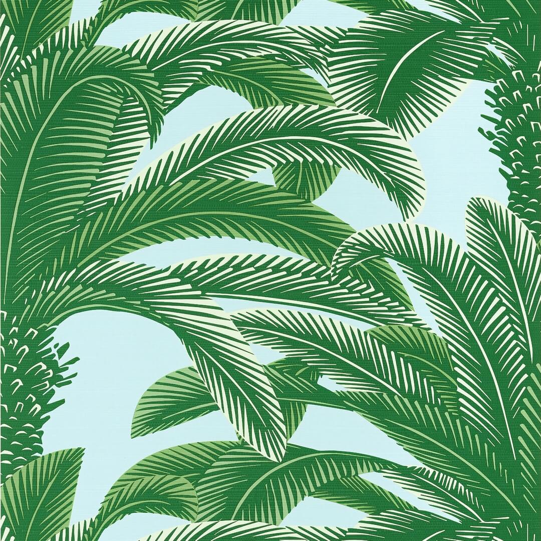 Tapeta liście palmy Thibaut T13908 Queen Palm Palm Grove