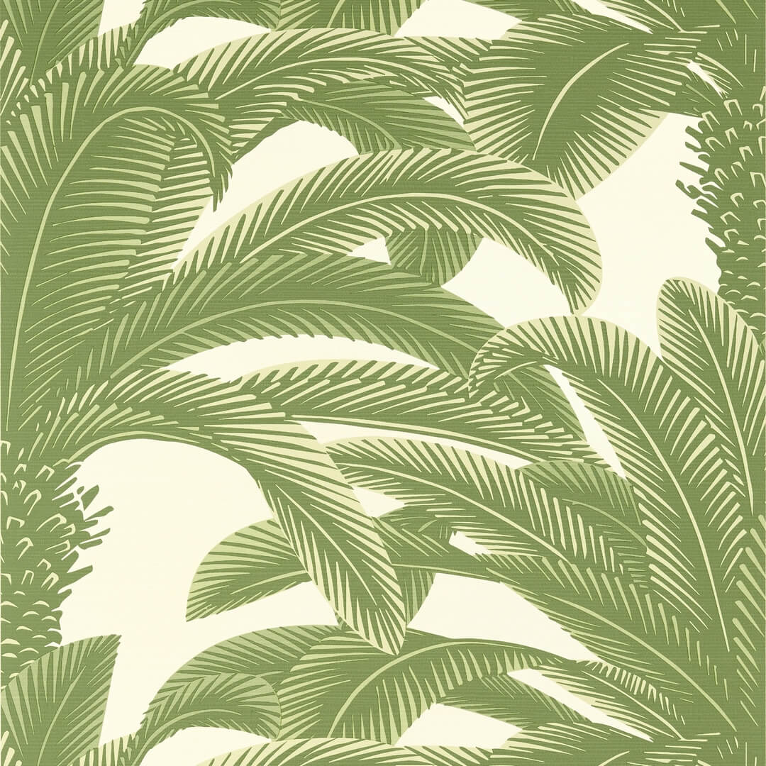 Tapeta liście palmy Thibaut T13911 Queen Palm Palm Grove