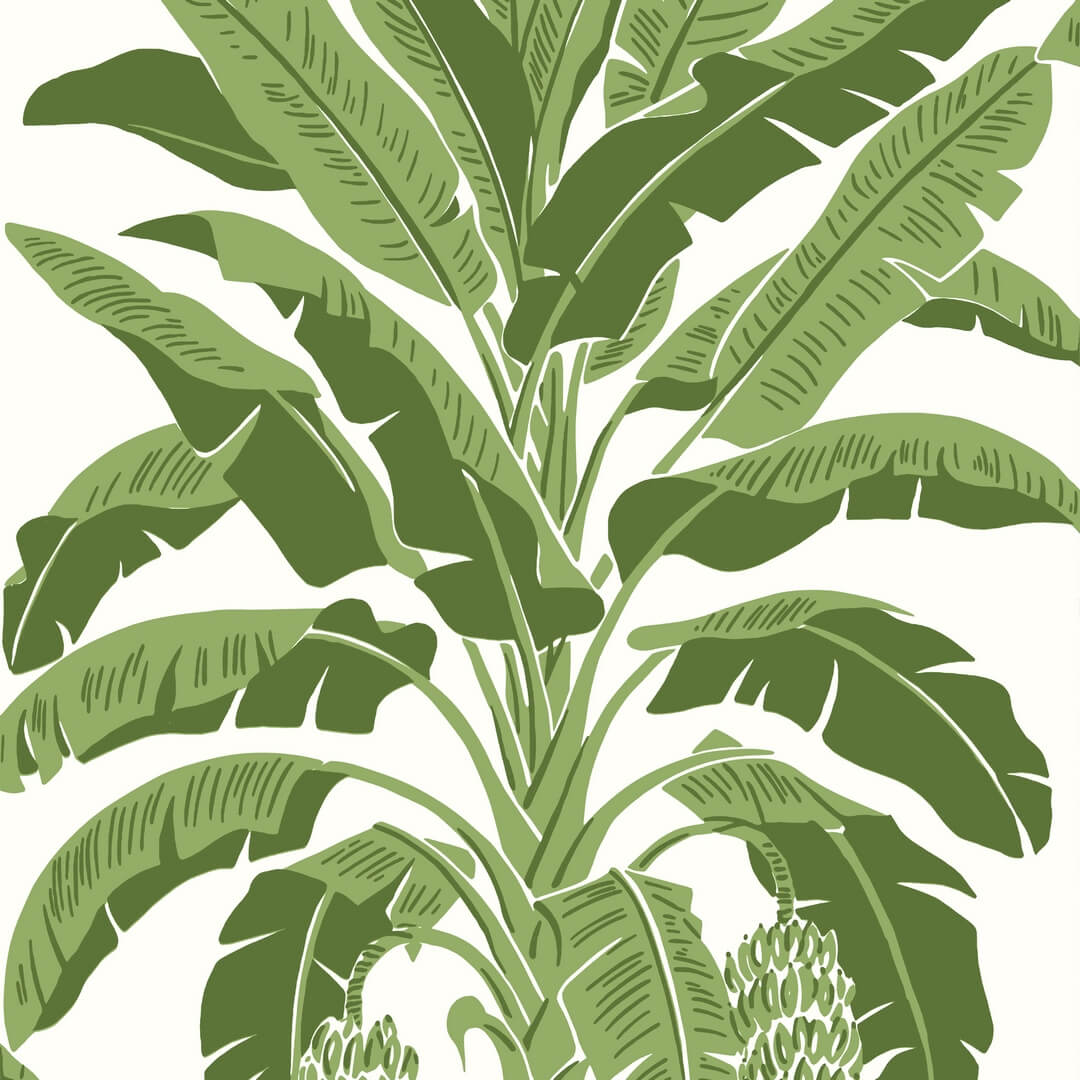 Tapeta bananowce Thibaut T13914 Banana Tree Palm Grove