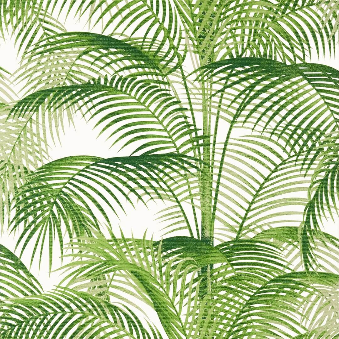 Tapeta liście palmy Thibaut T13938 Delray Palm Grove