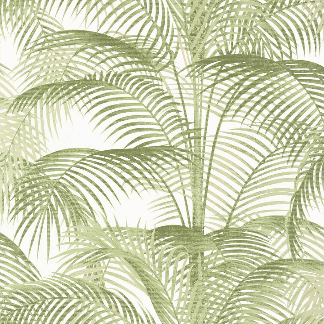Tapeta liście palmy Thibaut T13939 Delray Palm Grove