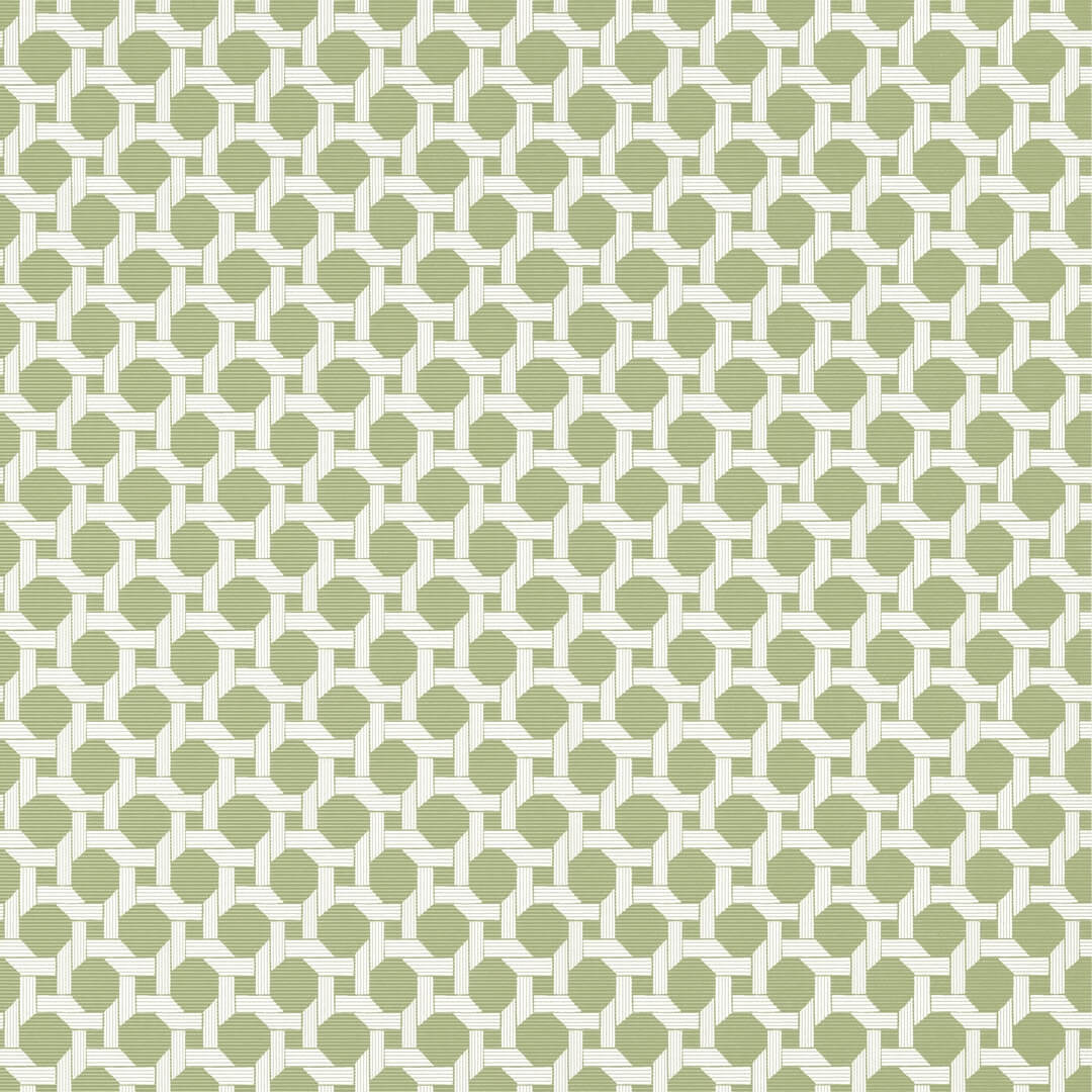 Tapeta kratownica Thibaut T13959 Charter Palm Grove