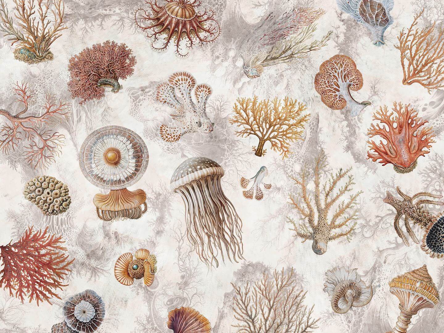 Fototapeta rafy koralowe i meduzy Wallcraft Oceana 1055 31 2501