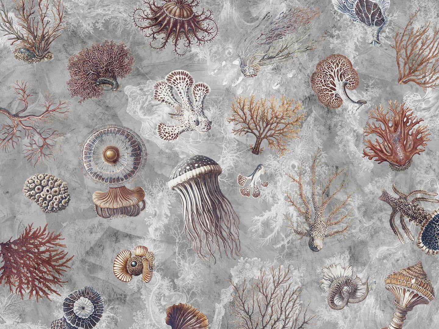 Fototapeta rafy koralowe i meduzy Wallcraft Oceana 1055 32 2501