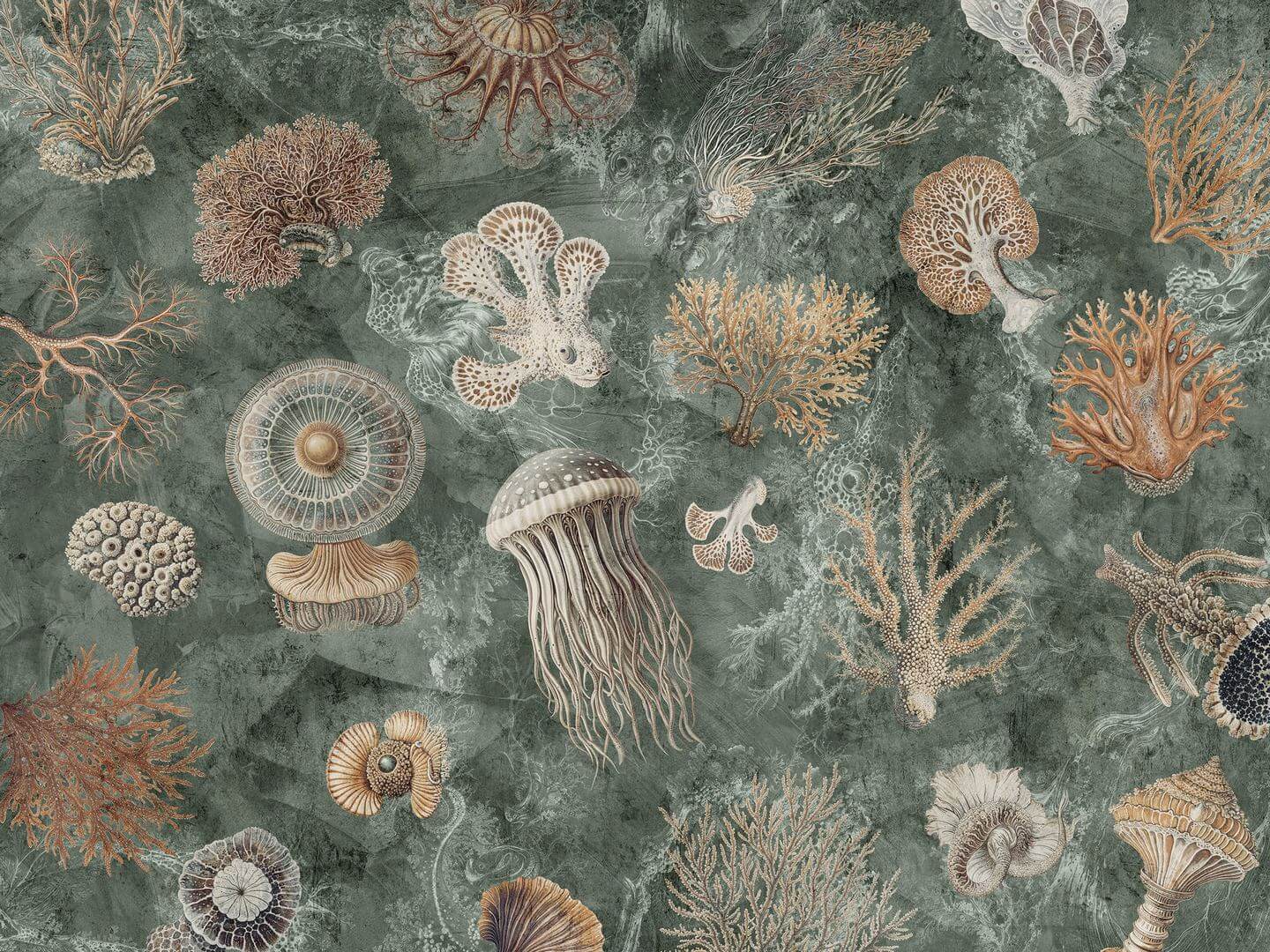 Fototapeta rafy koralowe i meduzy Wallcraft Oceana 1055 33 2501