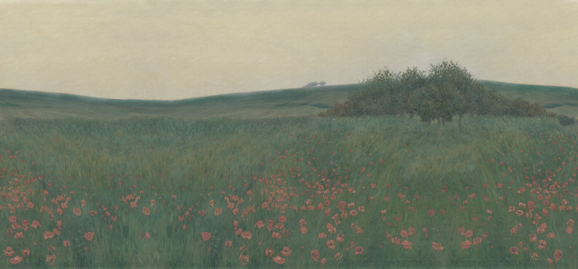 Fototapeta malarskie pola maków Rebel Walls R21538 Poppy Landscape Dawn Hot Pops