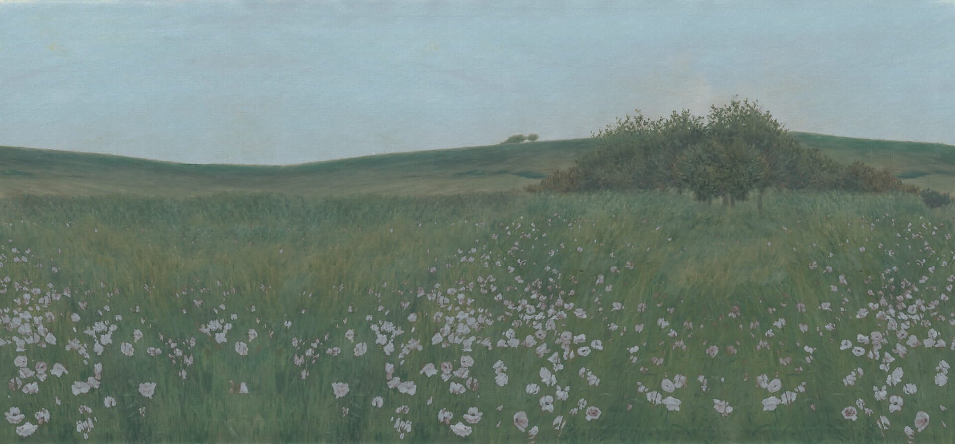 Fototapeta malarskie pola maków Rebel Walls R21539 Poppy Landscape Dusk Hot Pops