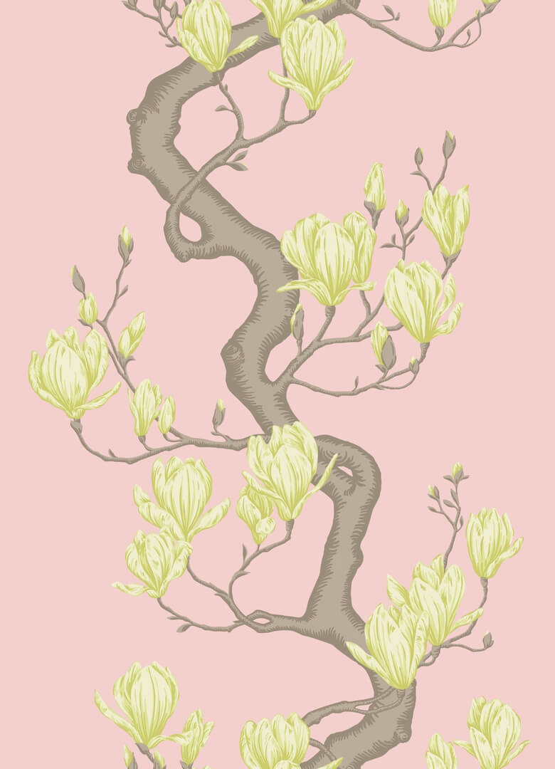 Tapeta gałązki magnolii Cole & Son 128/1005 Magnolia Tree Classics Collection Vol.II