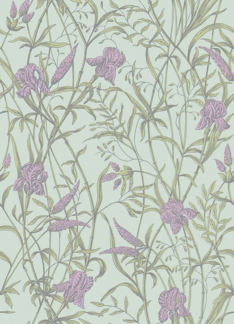 Tapeta kwiaty irysów Cole & Son 128/5024 Iris Classics Collection Vol.II