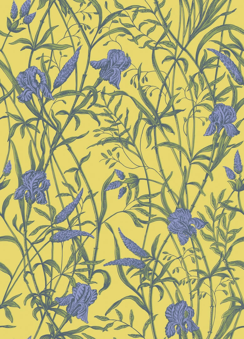Tapeta kwiaty irysów Cole & Son 128/5027 Iris Classics Collection Vol.II