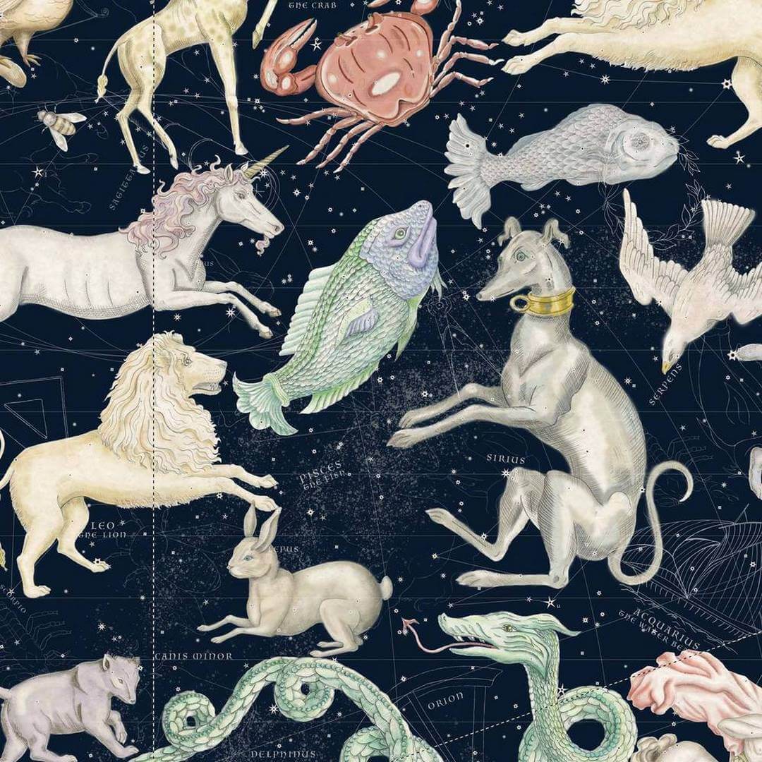 Tapeta ze znakami zodiaku House of Hackney Cosmos Midnight