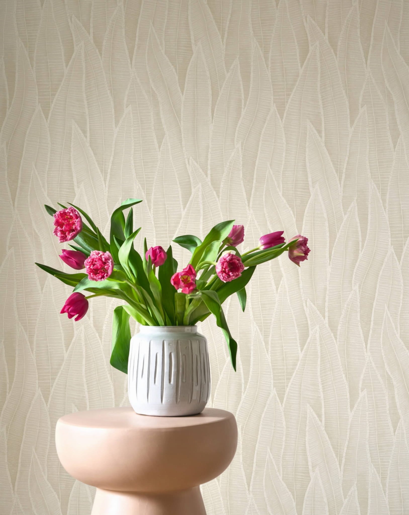 Tapeta liście sansewierii Casadeco RIOC 201830155 Sansevieria Rio