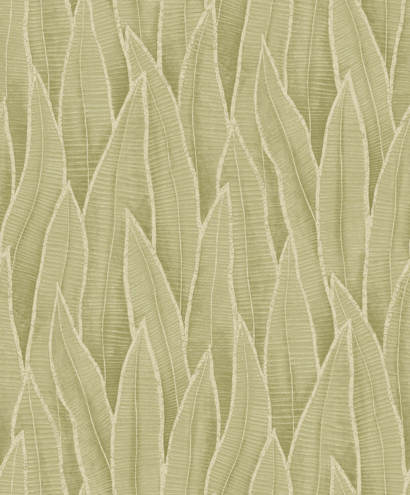 Tapeta liście sansewierii Casadeco RIOC 201837260 Sansevieria Rio