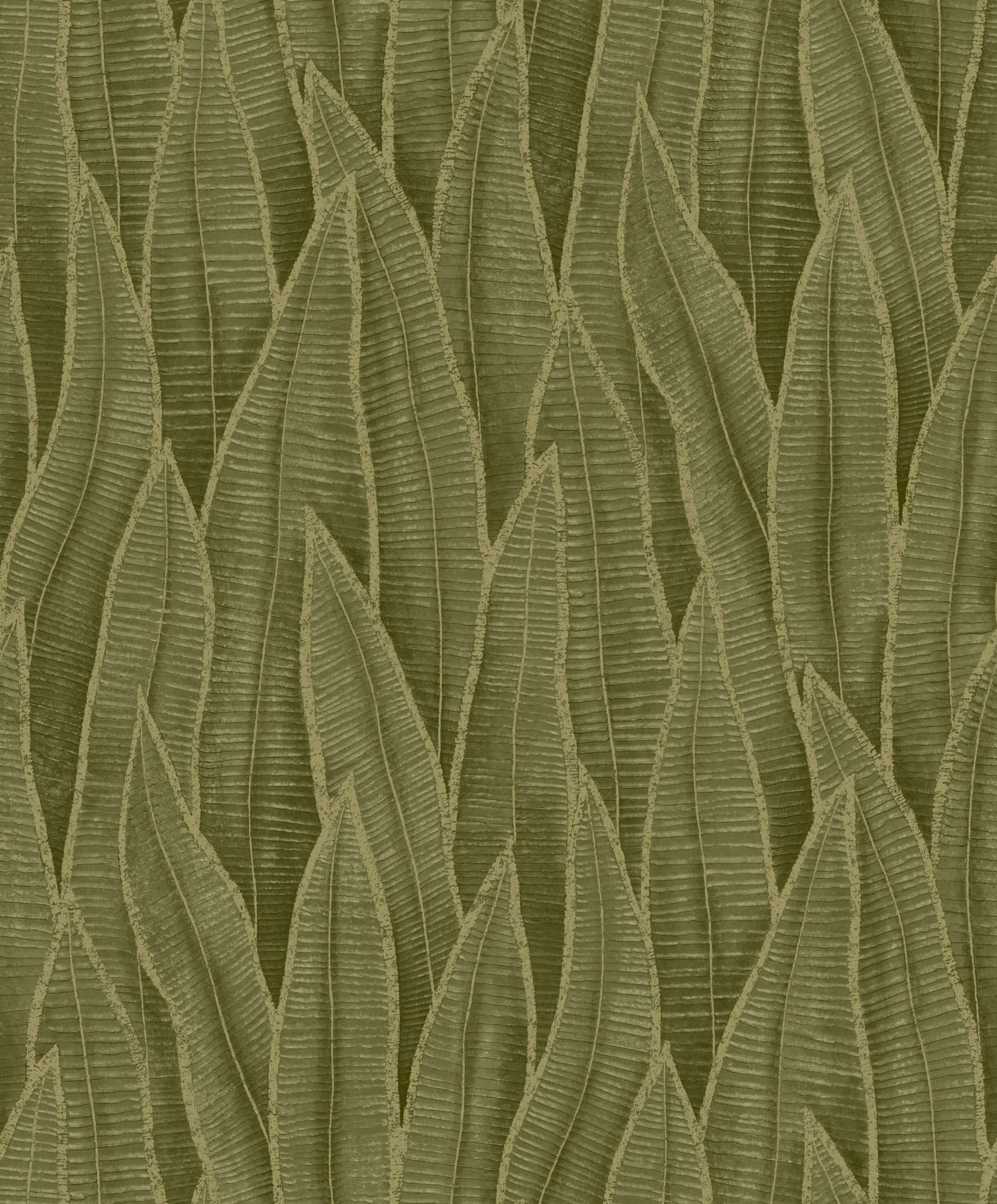 Tapeta liście sansewierii Casadeco RIOC 201837807 Sansevieria Rio