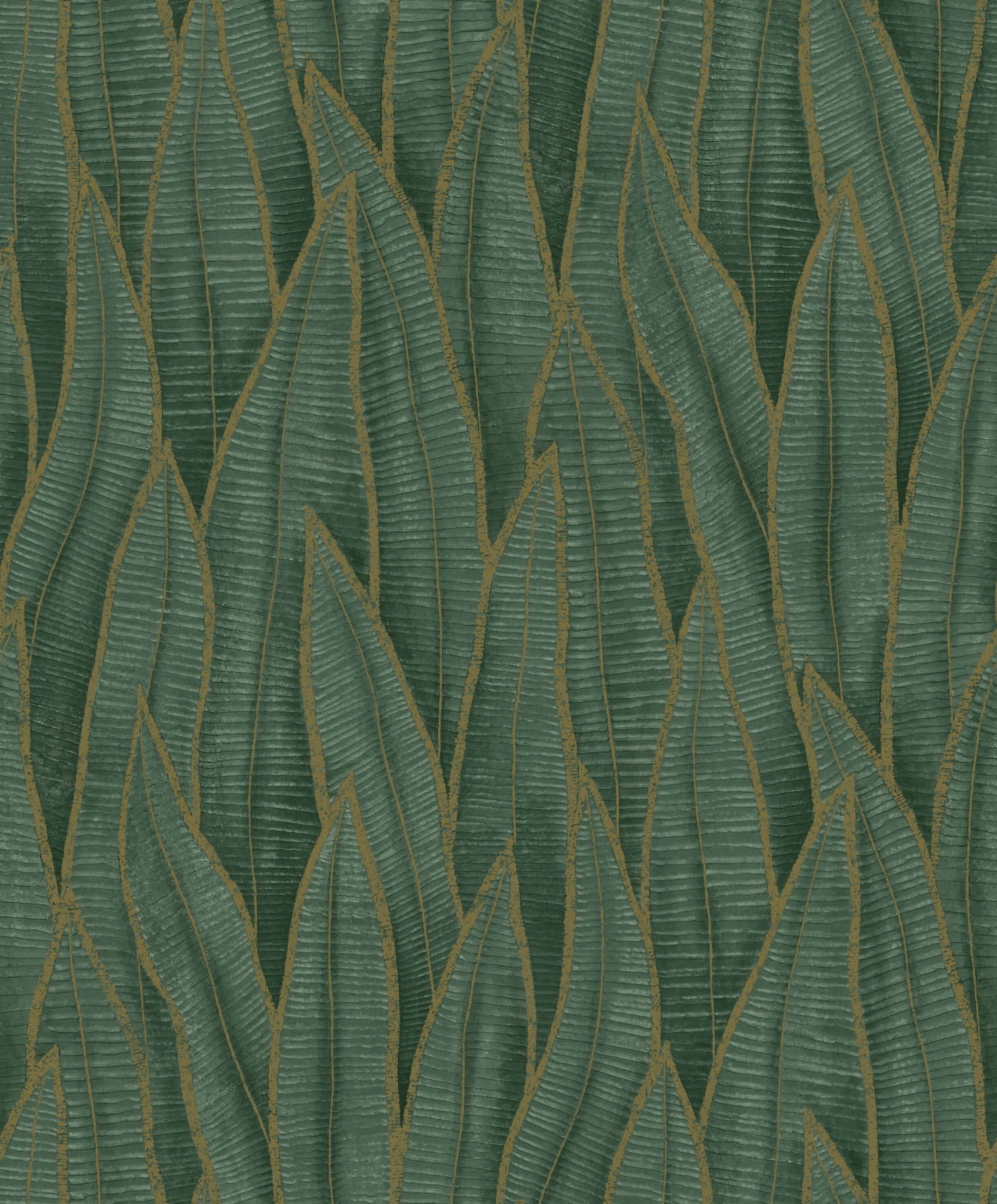 Tapeta liście sansewierii Casadeco RIOC 201837914 Sansevieria Rio