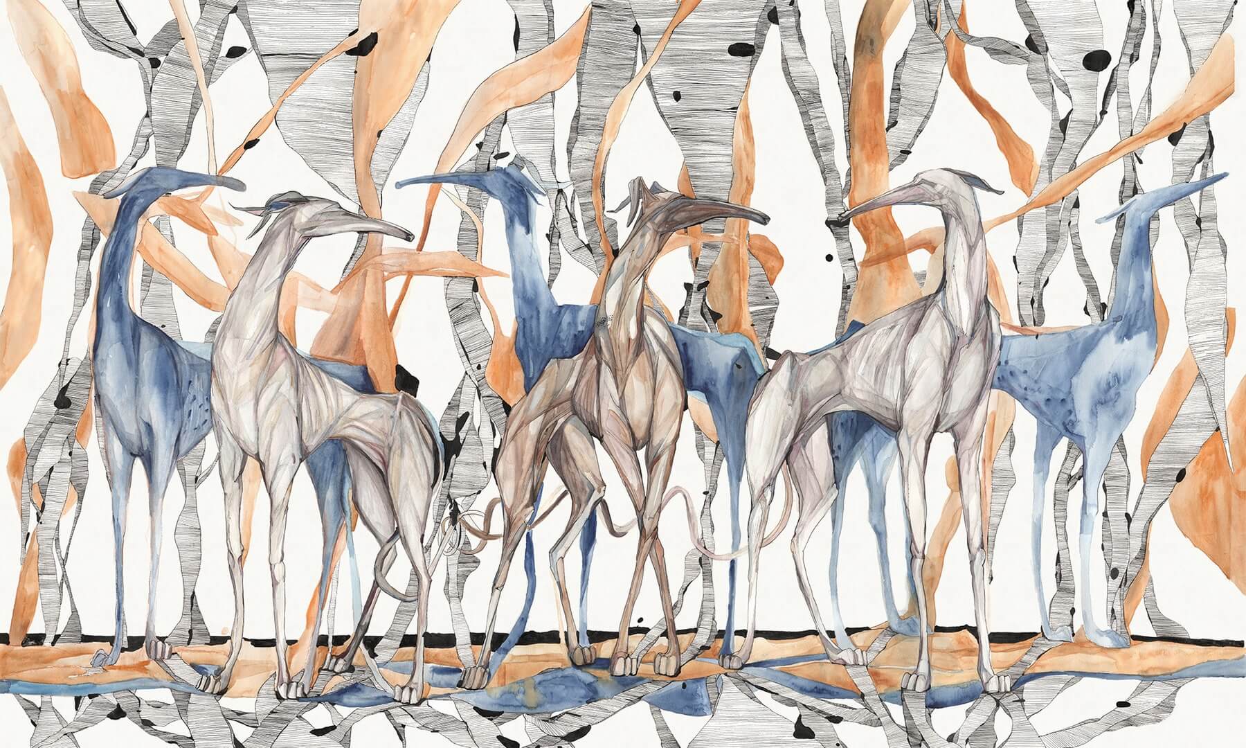 Fototapeta artystyczne pasy Wonderwall Galgo 35057600