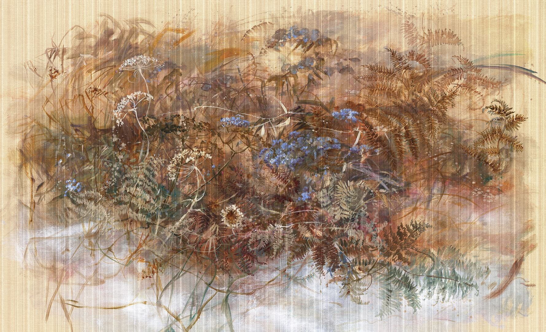 Fototapeta polne rośliny Wonderwall Vienetta 35065004