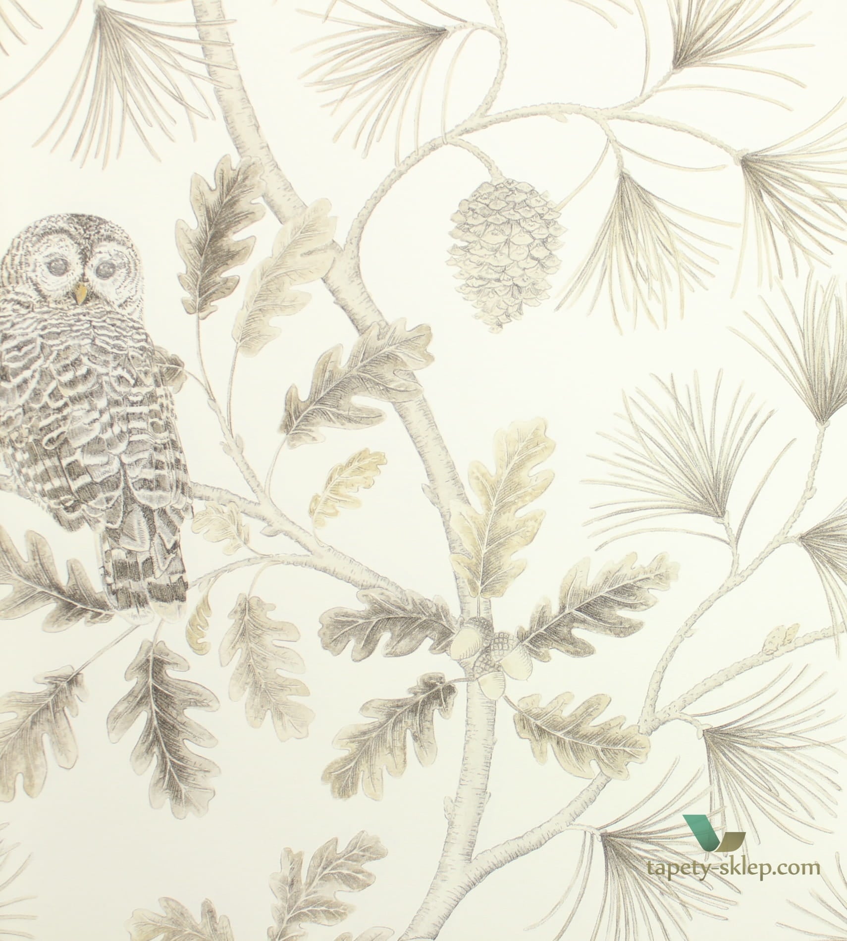 Tapeta sowy i drzewa Sanderson 216598 Owlswick Elysian
