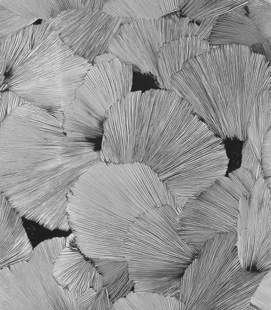 Fototapeta liście ginkgo Wall&Deco OUT_EB2502 OUT Systen 2025