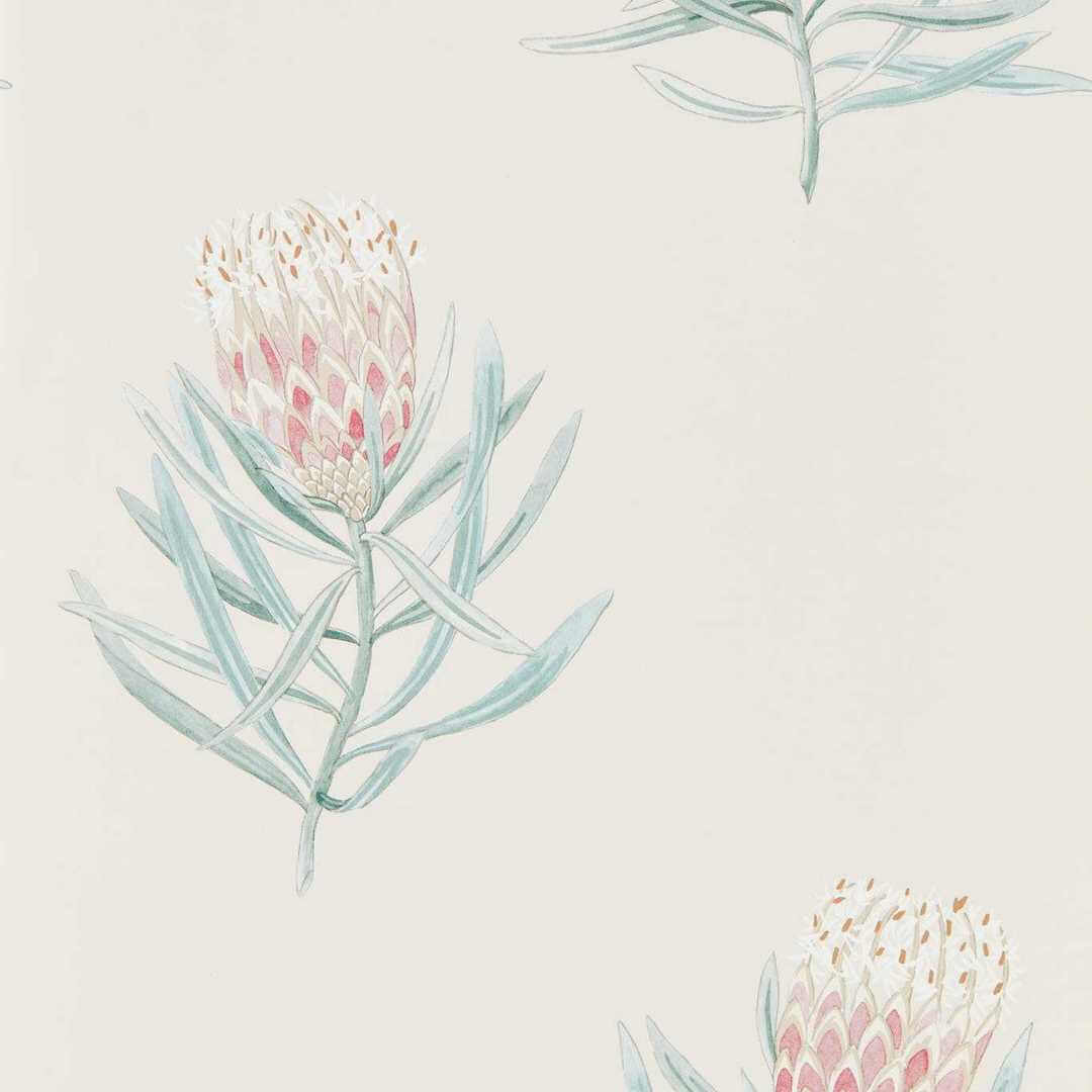 Tapeta w kwiaty protei Sanderson 216330 Protea Flower Curios