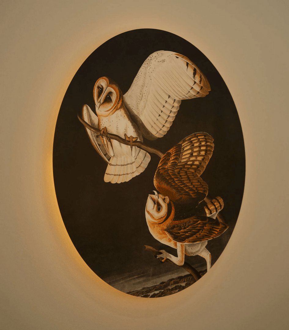 Lampa ścienna / kinkiet DOTS. Lighting Owls Wallcolors