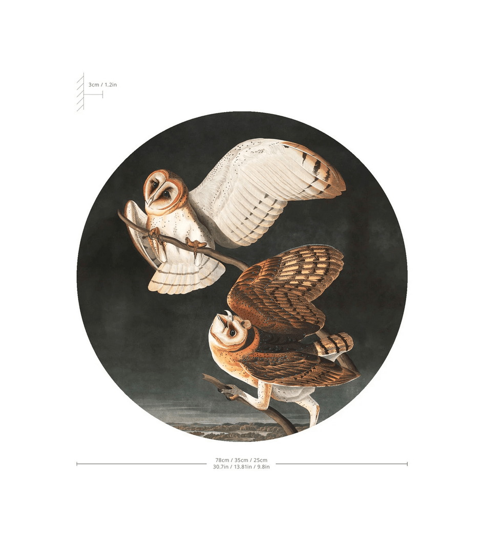 Lampa ścienna / kinkiet DOTS. Lighting Owls Wallcolors