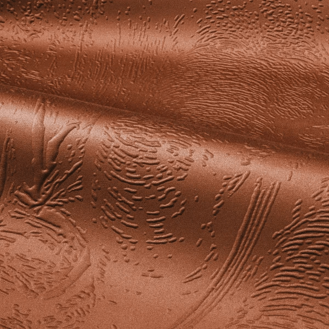 Mural tekstylny 3D ze słoniami Casamance 71580202 Maximus Exploration