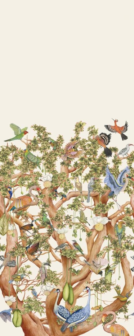 Mural egzotyczne ptaki na drzewie Cole & Son x Ardmore Tree of Life 129/1002 Baobab