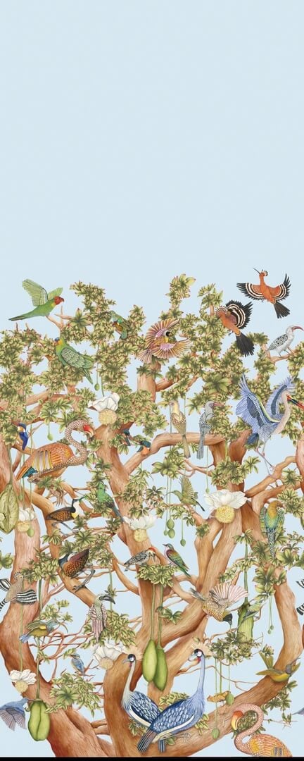 Mural egzotyczne ptaki na drzewie Cole & Son x Ardmore Tree of Life 129/1003 Baobab