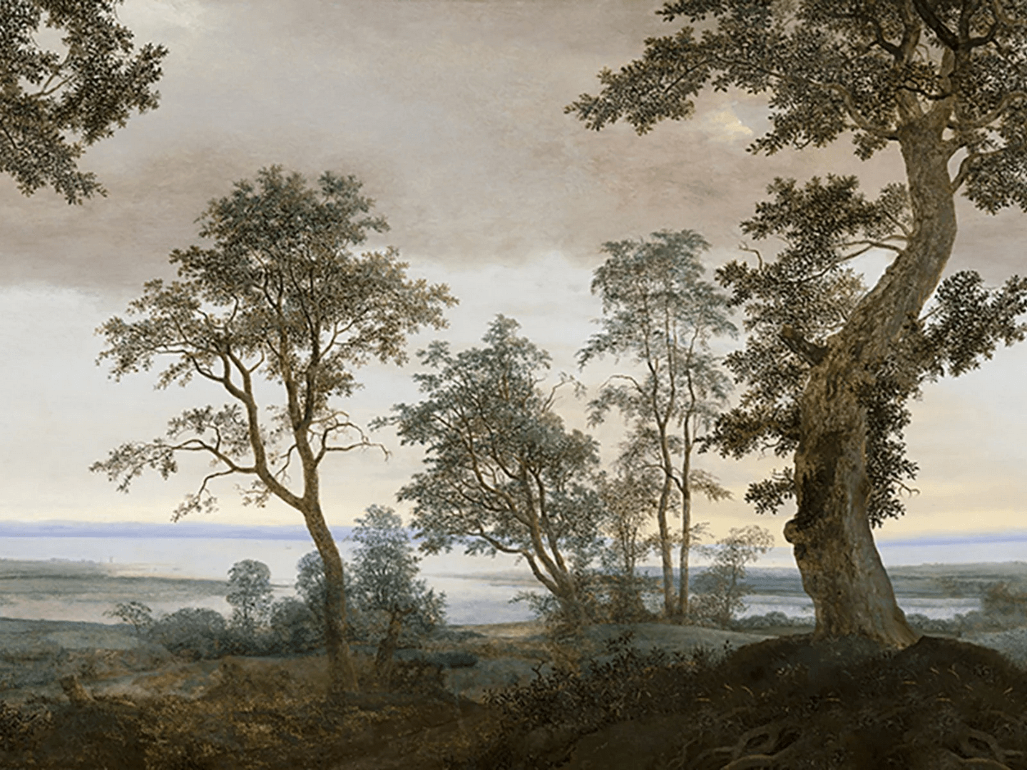 Mural krajobraz natury Eijffinger 351290 Mauritshuis