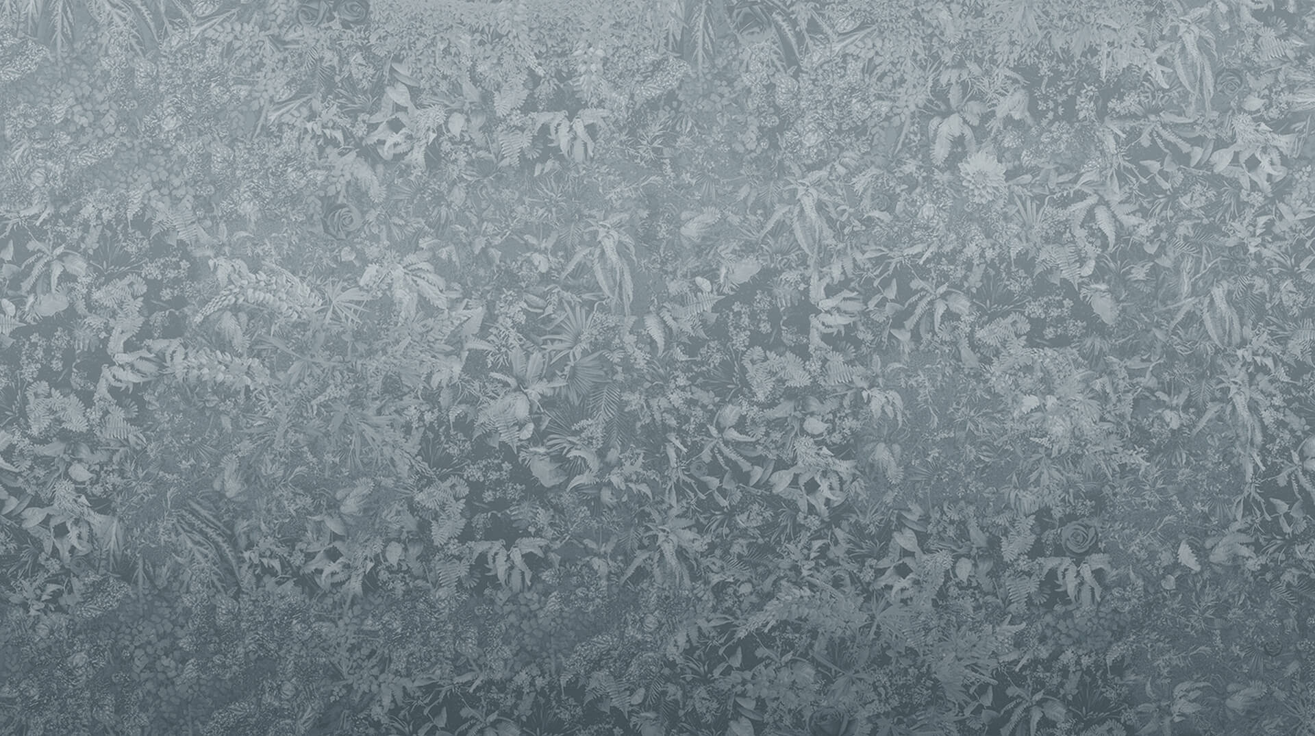 Fototapeta botaniczna Muance MU16049 Breeze Ivory