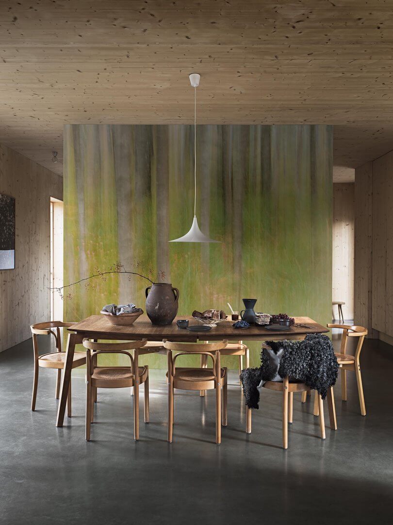 Mural brzozowy las Boras Tapeter Studio 9771W Oktoberbjorkar Marie Mattsson