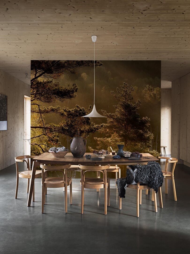 Mural las o świcie Boras Tapeter Studio 9773W Getryggen Marie Mattsson