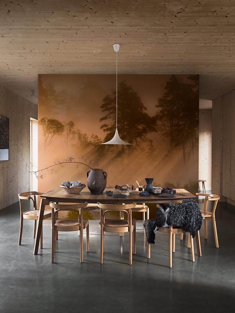 Mural promienie słońca w lesie Boras Tapeter Studio 9775W Dimsol Marie Mattsson