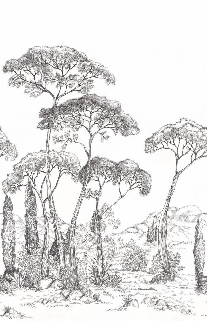 Mural krajobraz sosnowego lasu Caselio 107290904 L Forest of Pineas Moonlight III