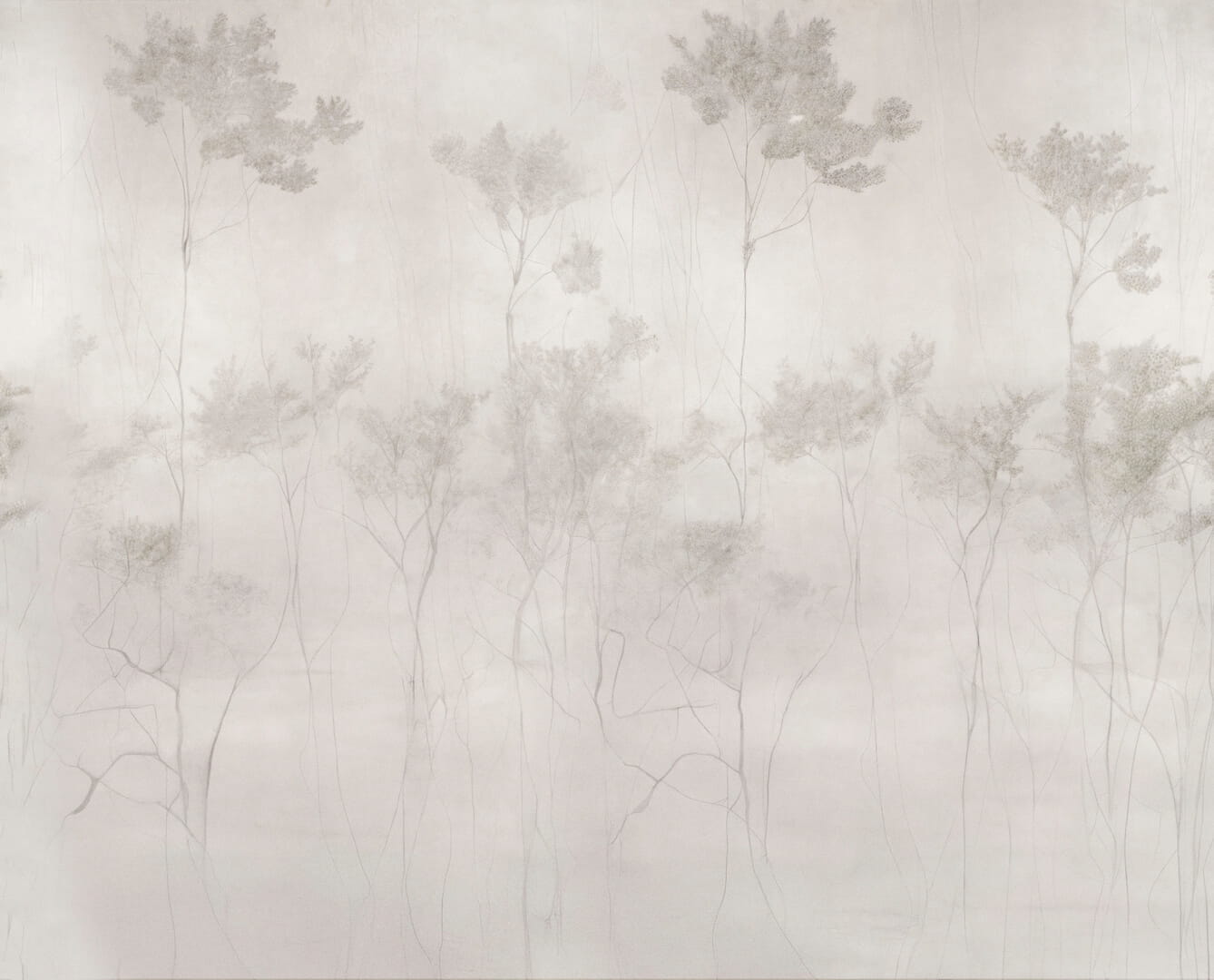 Fototapeta mglisty pejzaż leśny Wall&Deco WDEG2601 Enchanted Grove Contemporary 2026