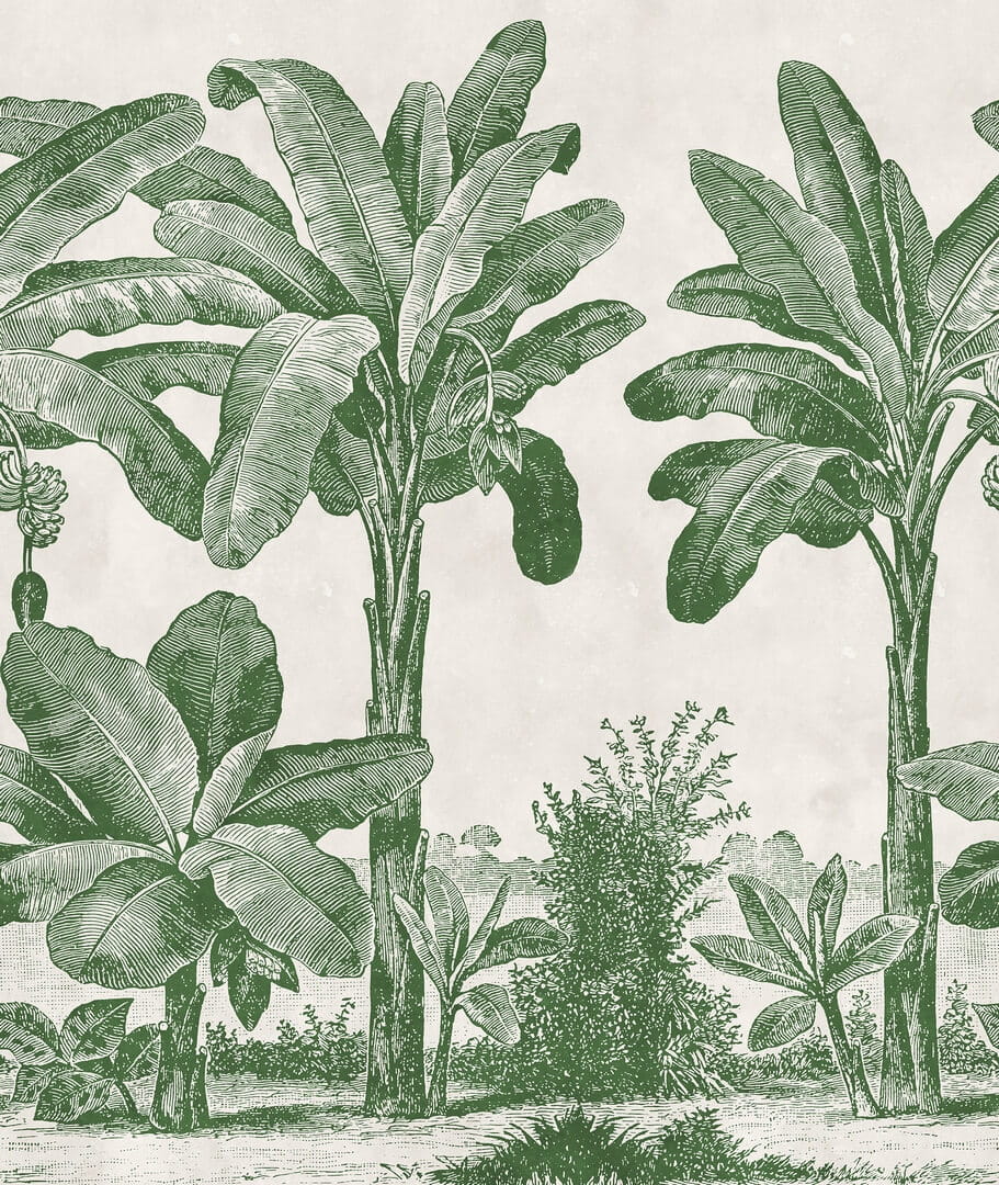 Fototapeta bananowce Rebel Walls R20889 Timeless Tropics Eden Escape