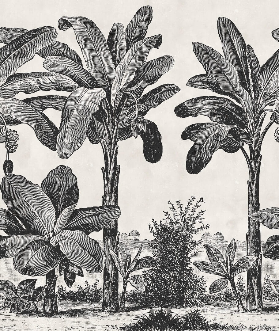 Fototapeta bananowce Rebel Walls R20890 Timeless Tropics Eden Escape