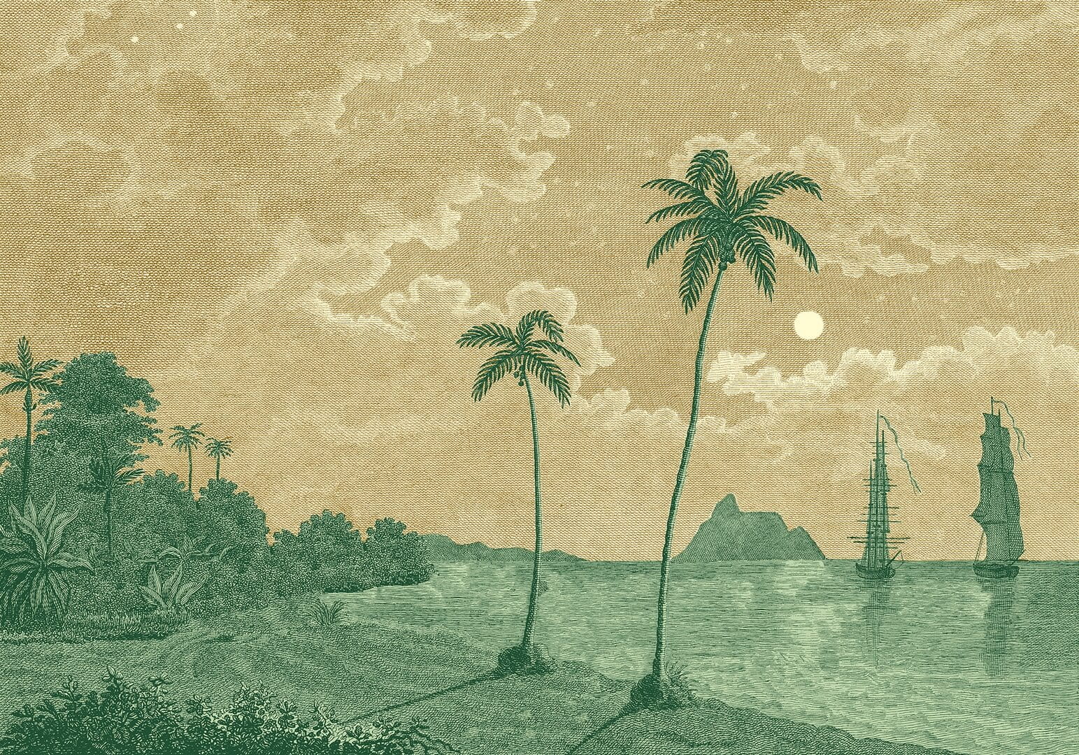 Fototapeta palmy i statki Rebel Walls R20896 Palm Beach Eden Escape