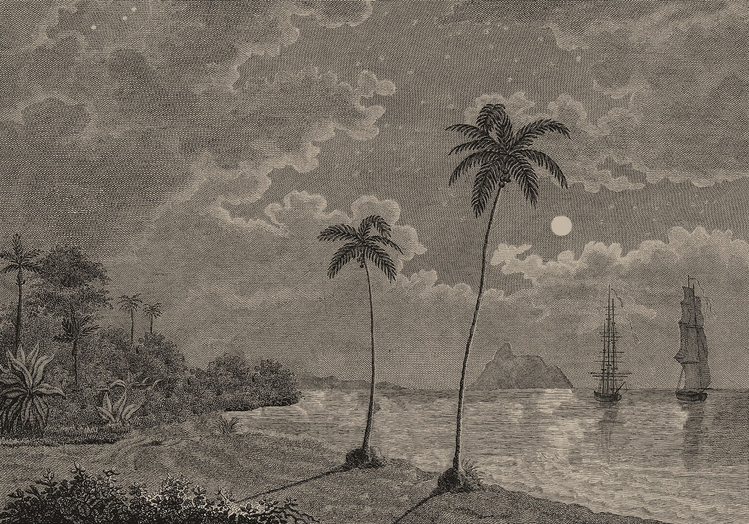 Fototapeta palmy i statki Rebel Walls R20899 Palm Beach Eden Escape