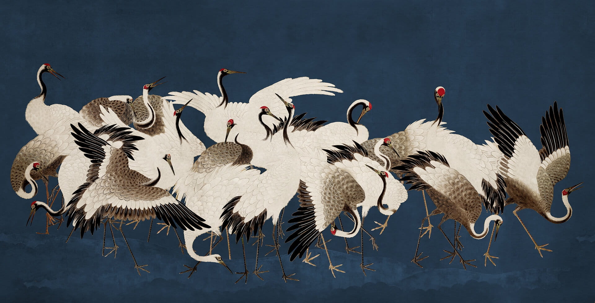fototapeta tańczące żurawie Rebel Walls R20900 Dancing Cranes Eden Escape