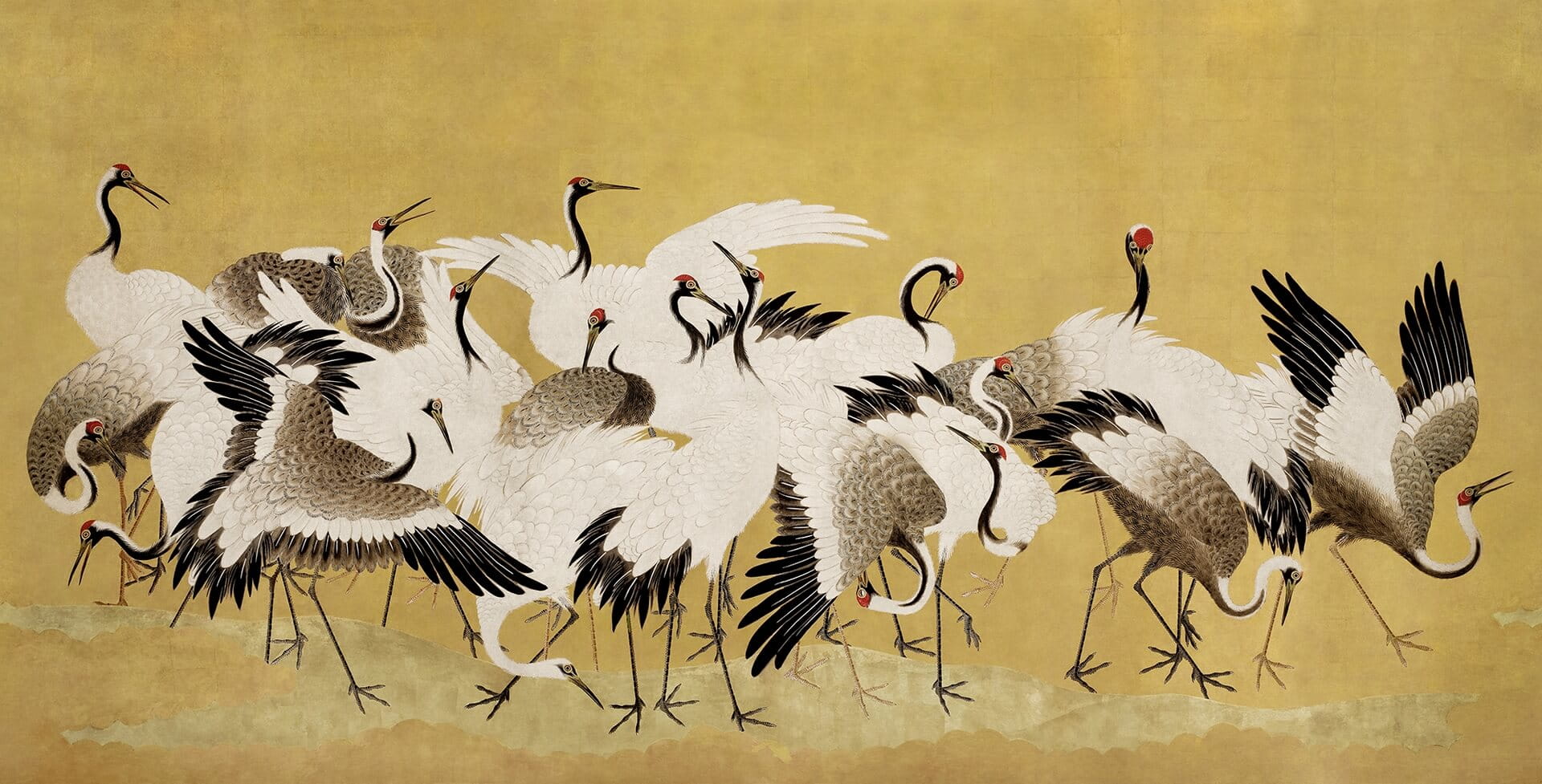 fototapeta tańczące żurawie Rebel Walls R20901 Dancing Cranes Eden Escape