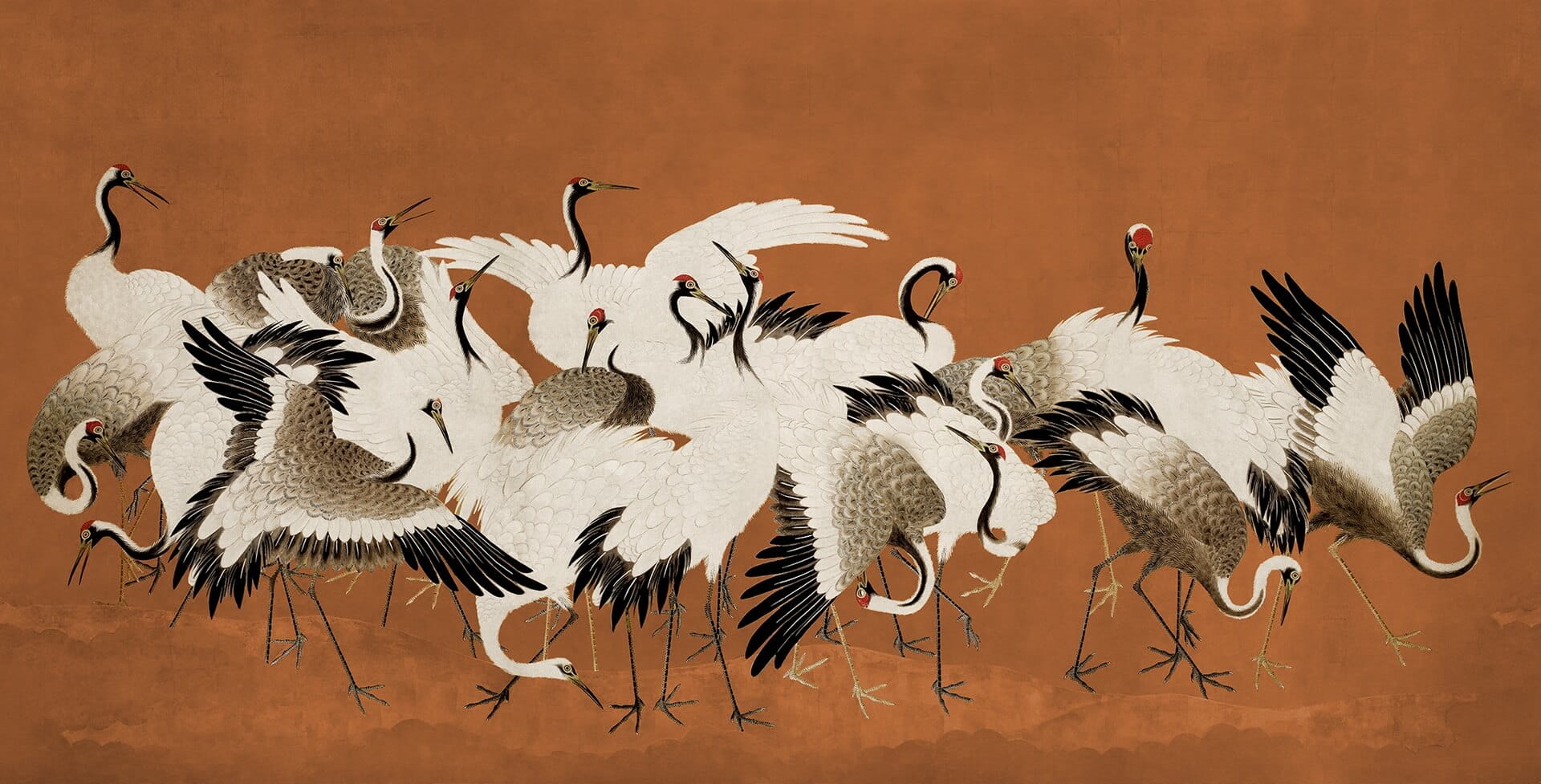 fototapeta tańczące żurawie Rebel Walls R20903 Dancing Cranes Eden Escape
